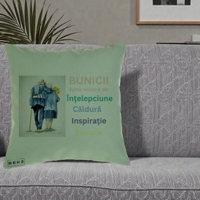 Cadou pentru Bunici - Perna Personalizata Bunicii Sursa Intelepciune Caldura Acuarela, 40x40 cm, Verde, Husa Detasabila, Perna Inclusa, BEKZ®