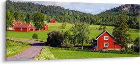 Tabloul cu țară (120x50 cm)