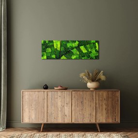 Tablou - Detaliu frunze (cu ceas) (90x30 cm)