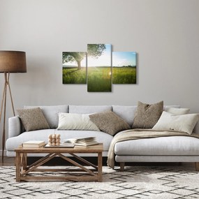 Tablou - Copac în câmp (90x60 cm)