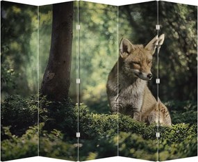 Paravan - Vulpe (210x170 cm)
