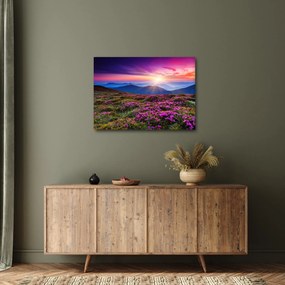 Tablou - Munte înflorit peisaj (70x50 cm)