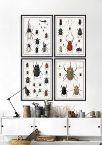 Tablou Framed Art Entomology III