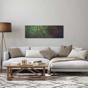 Tablou - Pin (cu ceas) (90x30 cm)