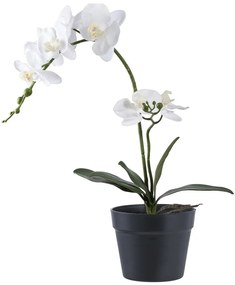 Orchidea műnövény, zöld/fehér 49 cm