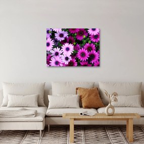 Tablou - Flori (70x50 cm)