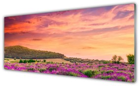 Tablou pe sticla Meadow Flori Peisaj Purple Verde Roz