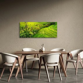 Tablou - Terase de orez (120x50 cm)