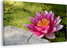 Tablou - Lotus (90x60 cm)