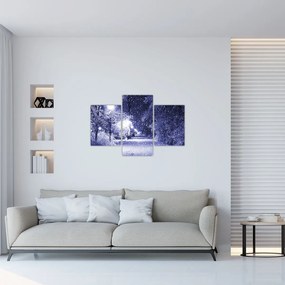 Tablou - Noaptea magică de iarnă (90x60 cm)