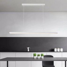 Brilagi - Lustru LED suspendat pe cablu PAXIS LED/30W/230V 120 cm alb