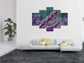 Tablou cu floare violetă (150x105 cm)