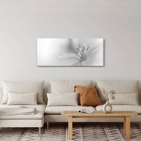 Tablou - Crin delicat (120x50 cm)