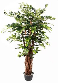 Ficus artificial Benjamina Liana Deluxe - 175 cm