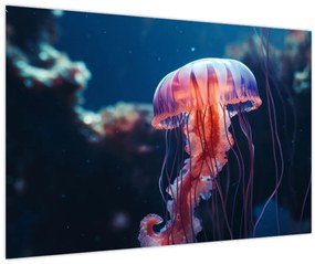 Tablou - Meduză (90x60 cm)