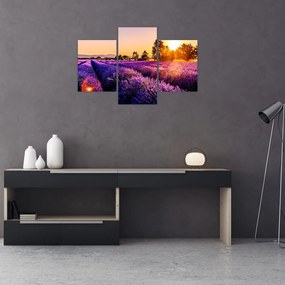 Tablou cu câmp de lavandă, Provincie (90x60 cm)