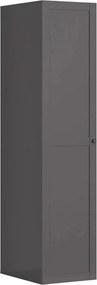 Dulap FLEX, gri grafit, PAL, cu o usa, 50x66x218 cm