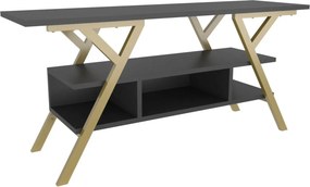 Comoda TV MINERVA, gri antracit/auriu, PAL/metal, 120x35x55 cm