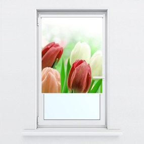 Fotojaluzele R012181R42150 (42x150 cm)