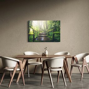 Tablou - trepte din lemn în pădure (90x60 cm)