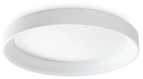 Plafoniera LED design circular Ziggy pl d80 alb