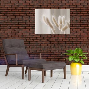 Tablou - Cozi de iepure (70x50 cm)