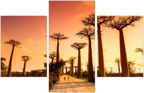 Tablou - Apus de soare pe Aleea Baobabilor (90x60 cm)