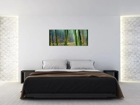 Tablou cu pădure (120x50 cm)