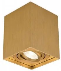 Spot aplicat/plafoniera GU10 BH04-00316 Braytron