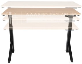 Birou reglabil electric TerrA2Y Black-cadru in Y / profil cadru negru (Dimensiune blat: 120x60 cm, Culoare blat: Stejar negru 18mm)
