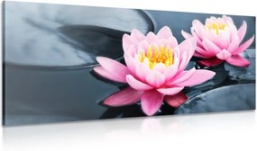 Tablou floare de lotus pe lac