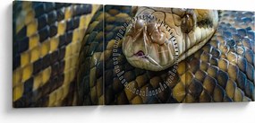 Tablou - Piton (cu ceas) (90x30 cm)