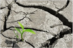 Tablou - Fisuri (90x60 cm)