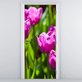 Fototapet pentru ușă - Lalele în câmp (95x205cm)