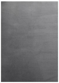 Covor gri lavabil 80x150 cm Sky – Ayyildiz Carpets