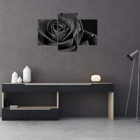 Tablou - Trandafir roșu aprins (90x60 cm)
