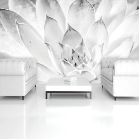 Fototapet - Floare de lotus (152,5x104 cm)