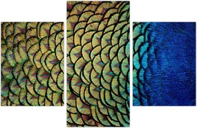 Tablou - Pene de păun (90x60 cm)