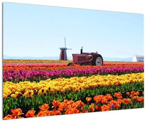 Tablou cu farma de lalele (90x60 cm)