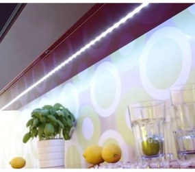 Bandă LED RGB dimabilă TEANIA 10m LED/30W/12/230V Paul Neuhaus 1205-70 + telecomandă