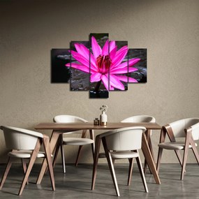 Tablou - floarea roz (150x105 cm)
