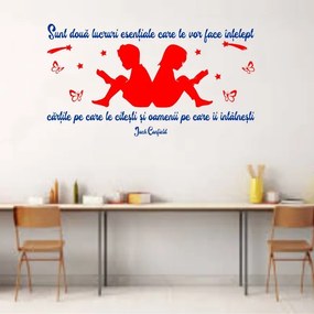 Sticker perete Doua lucruri te vor face intelept