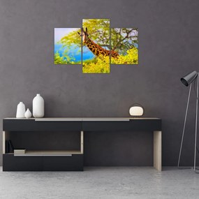 Tablou - Girafa în Africa (90x60 cm)