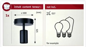 Paulmann 79760 - Plafonieră HALDOR 1xE27/20W/230V