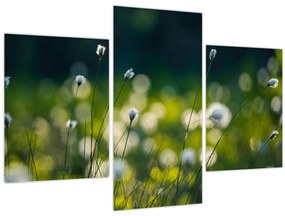 Tablou - Iarbă (90x60 cm)