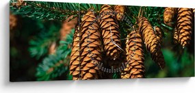 Tablou cu con de brad (cu ceas) (90x30 cm)