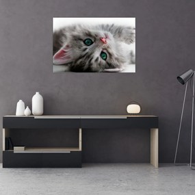 Tablou - Pisica cu ochi verzi (90x60 cm)