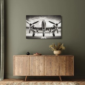 Tablou - Warbird (90x60 cm)