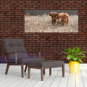 Tablou - Vacă scoțiană (120x50 cm)