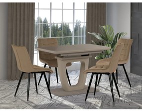 Set de scaune de sufragerie CT-384 CAP4, 4 buc